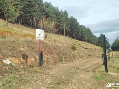 GastroRuta - Loma de Enmedio alrededor del Pico de Bañaderos; ruta montaña madrid ruta de senderismo